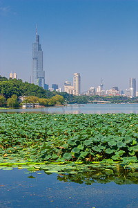 玄武湖南京城市天际线摄影图配图