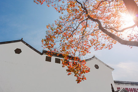 金色古建筑摄影照片_深秋南京老门东古建筑与红叶摄影图配图
