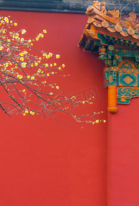 南京摄影照片_南京明孝陵红色宫墙腊梅摄影图配图