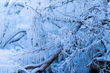 冰雪摄影照片_冬天风景白天冬天雾凇室外无摄影图配图