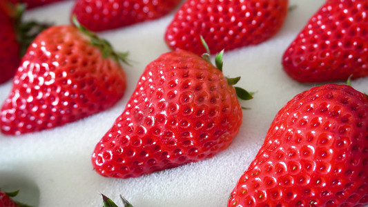 应季水果草莓