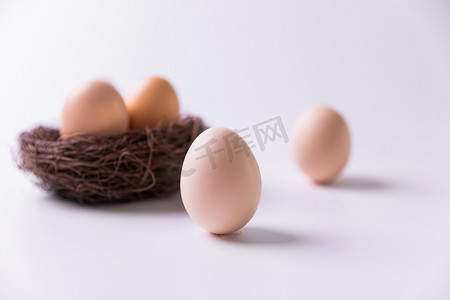 立蛋春分鸡蛋24节气窝里的鸡蛋摄影图配图
