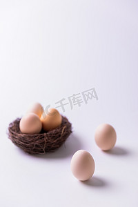 立蛋24节气窝里的蛋鸡蛋食材原料摄影图配图