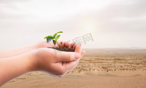 植树节树苗树苗合成树苗摄影图配图