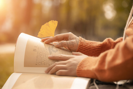 看书的女子下午女子树林树林摄影图配图