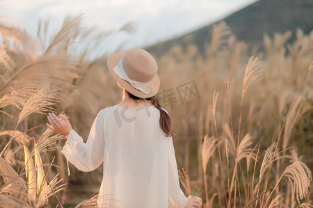 沙家浜芦苇荡摄影照片_芦苇女士背影下午女子田里田里摄影图配图