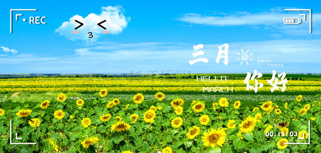 你好三月背景图片-你好三月背景素材图片-千库网