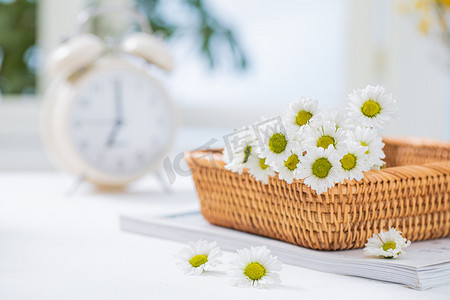 摄影照片_清新文艺花朵白天放在窗台的小雏菊和闹钟室内窗台摄影图配图