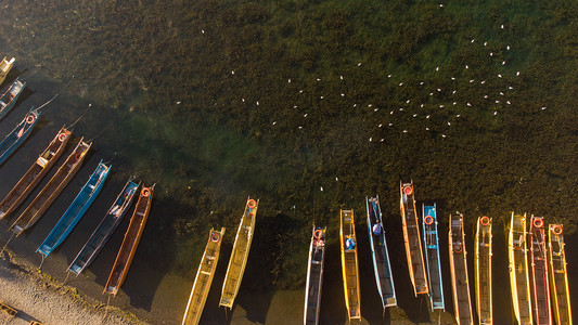 泸沽湖摄影照片_云南泸沽湖草海的猪槽船航拍摄影图配图