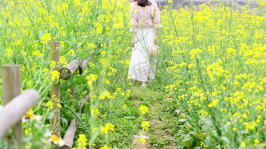 实拍女生走在油菜花田背景