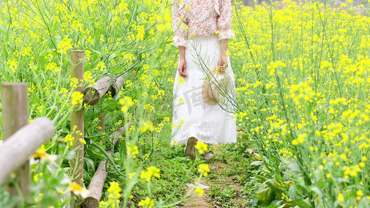 背影走摄影照片_春天踏青实拍女生走在油菜花田背景