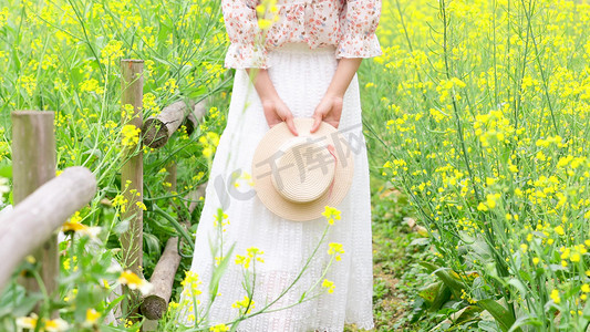 春天摄影照片_春天女生走在油菜花田小清新背景