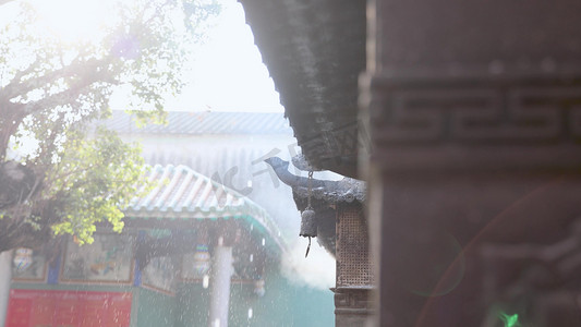 烟雨楼台摄影照片_雨天古风建筑屋檐雨滴滴落