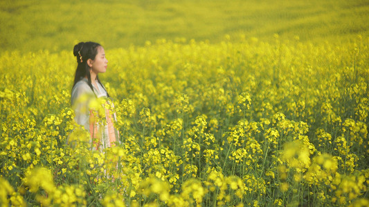 春天春游郊游踏青摄影照片_油菜花田古风汉服美女