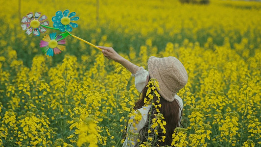 春天油菜花赏花玩风车的少女背影