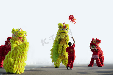 新年春节习俗摄影照片_舞狮表演下午舞狮公园公园摄影图配图