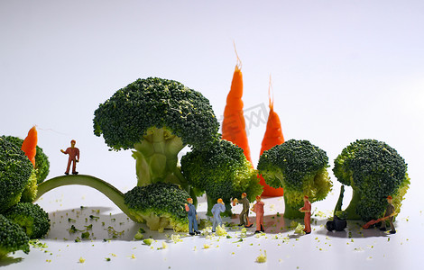 蔬菜蓝蔬菜摄影照片_蔬菜棚拍西蓝花微观创意摄影图配图