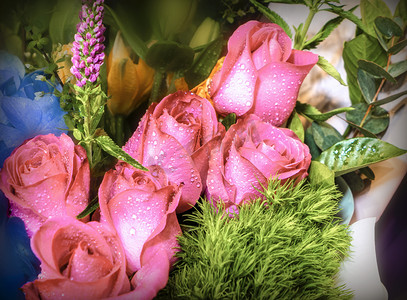 礼品鲜花上午红玫瑰花春季平拍摄影图配图