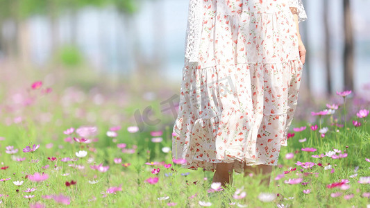 丝质裙子摄影照片_实拍树林阳光花海女性穿裙子逛花海唯美写意