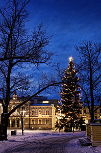 在市中心的圣诞树