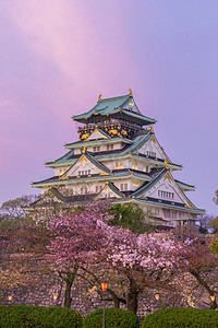 大阪城堡和樱花
