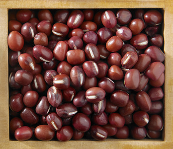 红色的小豆豆
