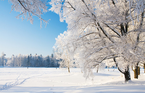 冬季雪花飘散摄影照片_冬季公园在雪中