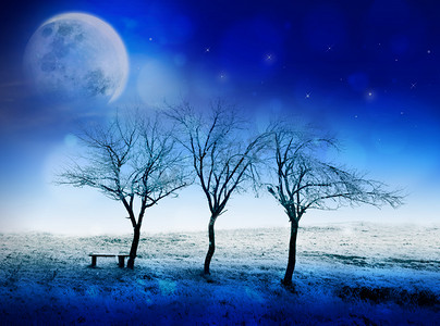 圣诞节的夜晚摄影照片_冬天的夜晚童话般场景与月亮、 星星和雪。可以用作圣诞节或新年卡
