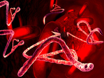 瘟疫爆发摄影照片_埃博拉病毒