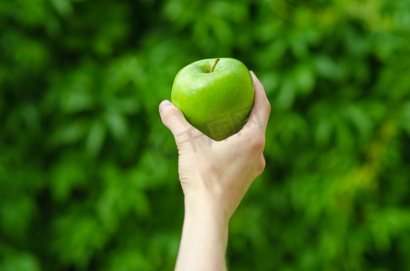 红色绿摄影照片_素食主义者和新鲜水果和蔬菜这一主题的性质: 人类的手一个绿色的苹果上绿草背景