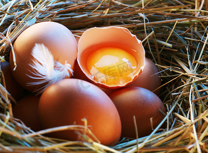 鸡蛋在稻草中的半破蛋在晨光中.