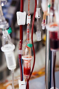 无私献血摄影照片_医院输血抗疫防疫图片