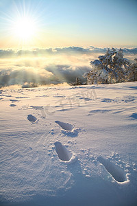 雪摄影照片_雪地上的脚印.