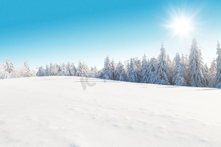 冬季雪景