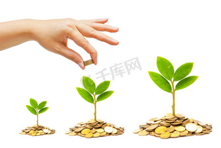 绿色金融摄影照片_一个金币，给一棵树从堆硬币的手