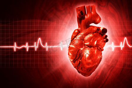 血摄影照片_与人类 3d 呈现心脏心电图抽象背景