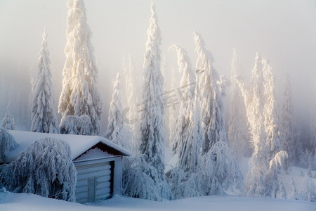 光效合成海报摄影照片_冬季户外雪地自然景观