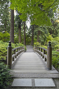 风景日本摄影照片_在日本庭园木桥