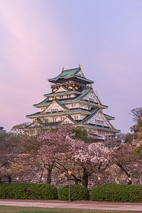 城堡摄影照片_大阪城堡与樱花. 