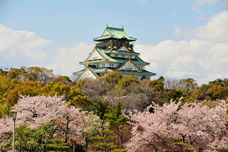 山坡上摄影照片_大阪城堡与樱花 