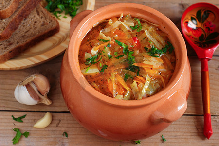 传统的俄罗斯素食白菜汤-高电荷态离子