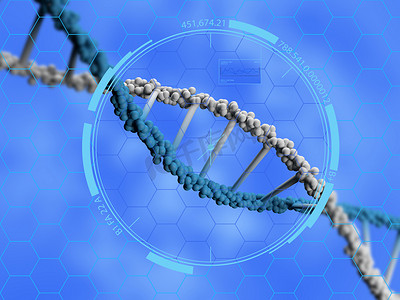 螺旋状dna基因分子