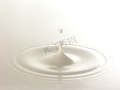 飞溅牛奶液体摄影照片_滴新鲜和纯奶