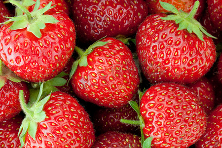 新鲜成熟的草莓特写