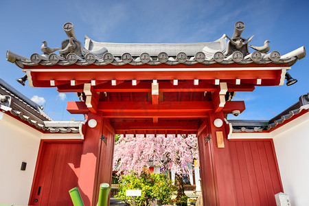 赏樱花摄影照片_在京都的门