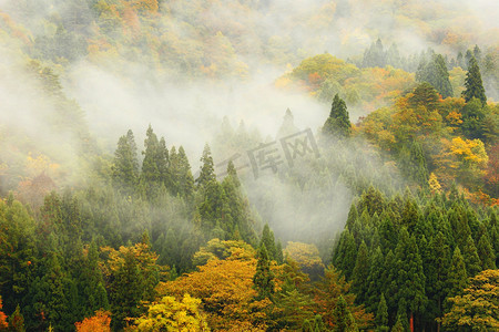 日出的风摄影照片_令人惊叹的晨雾中的森林和山