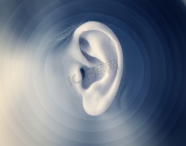 耳朵竖的竖的像摄影照片_医学研究人体器官耳朵