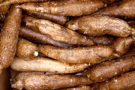 热带水果纹理摄影照片_木薯丝兰根茎蔬菜食物模式