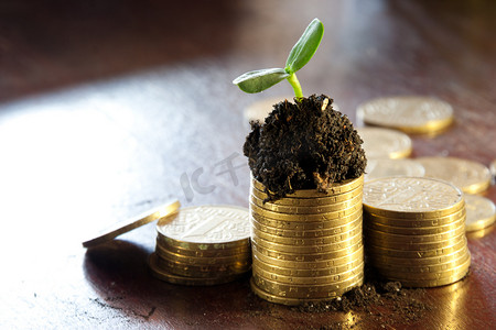 投资环境摄影照片_泥土中的金币和幼小的植物。货币增长概念.