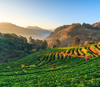 激励擂鼓摄影照片_陕西安康旅游风景图片